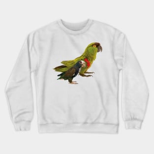 Mountain Parakeet and Parrot Crewneck Sweatshirt